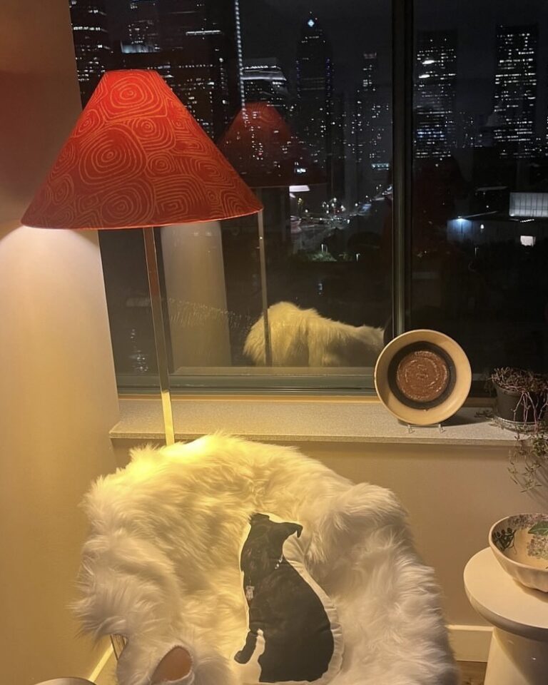 3C256C41-905B-4640-AFB0-F49EFF73694B